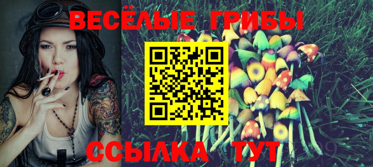 Псилоцибиновые грибы ЛСД Жуковский
