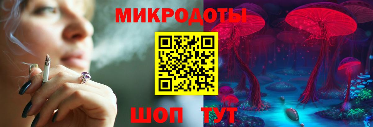 Жуковский  закладки  Вход с VPN  Галлюциногенные грибы MAGIC MUSHROOMS  Галлюциногенные грибы Psilocybe 